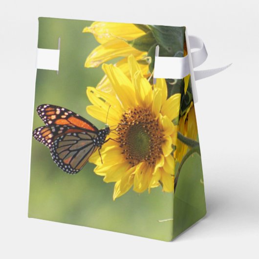 Monarque papillon Sunflower Ballotins (Arrière)