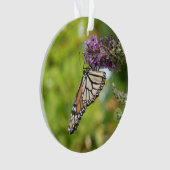 Monarque papillon sur Buddleia pourpre (devant)