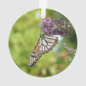 Monarque papillon sur Buddleia pourpre (dos)