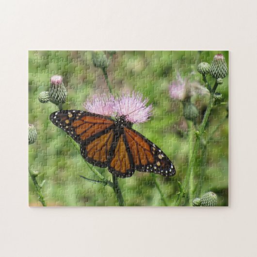 Monarque papillon sur le socle rose Jigsaw Puzzle (Horizontal)