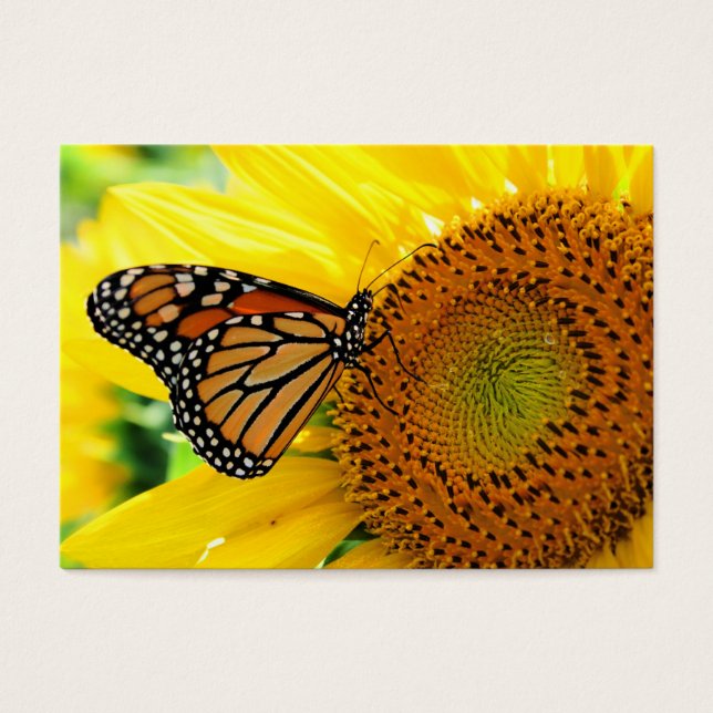 Monarque sur un tournesol, carte de profil (Devant)