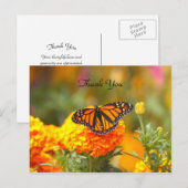 Monarque sur une carte postale TY de Souci (Devant / Derrière)