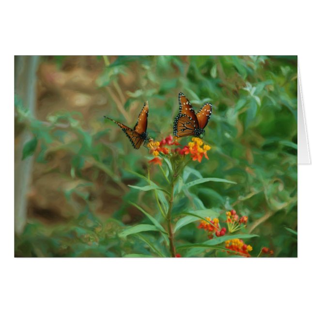 Monarques de migration (Devant Horizontal)