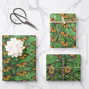 Monarques de papier enveloppé sur des boughs de p