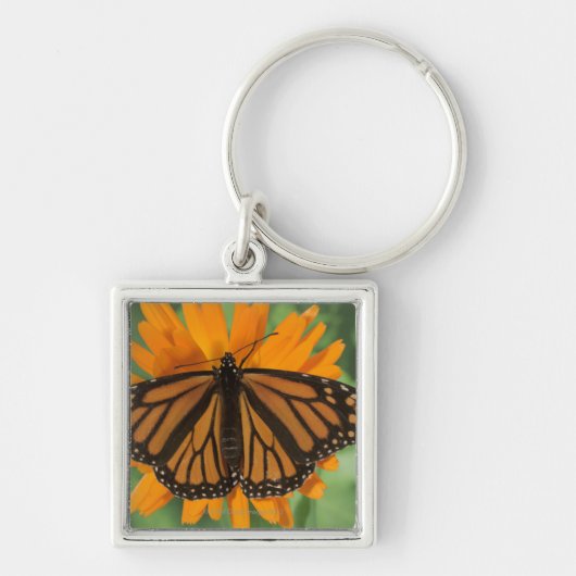 Monboogvlinder (Danaus plexippus) op pot Sleutelhanger (Voorkant)
