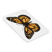 Monboogvlinder Magneet (Rechterzijde)