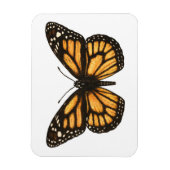 Monboogvlinder Magneet (Verticaal)