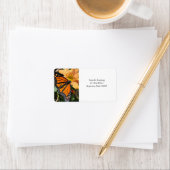 Monboogvlinder op chrysanthemabloem etiket (Insitu)