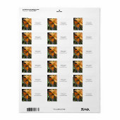 Monboogvlinder op chrysanthemabloem etiket (Full Sheet)