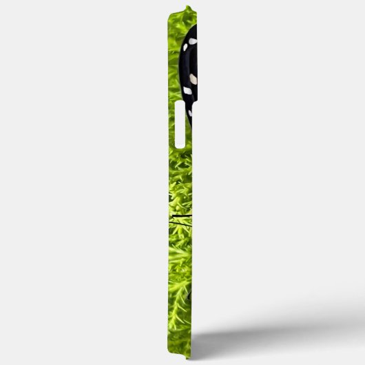 Monboogvlinder op cypress Case-Mate iPhone case (Achterkant / Rechts)