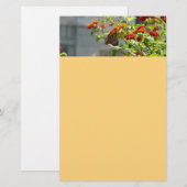 Monboogvlinder op de Struik rode vlinder Briefpapier (Voorkant / Achterkant)