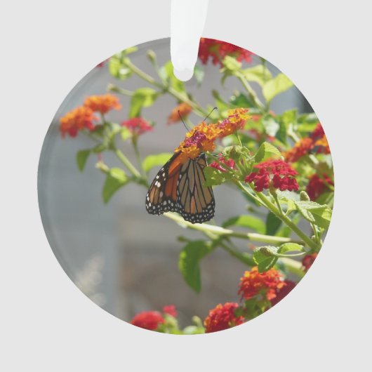 Monboogvlinder op de Struik rode vlinder Ornament (voorkant)