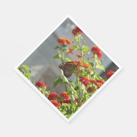 Monboogvlinder op de Struik rode vlinder Servet (Hoek)