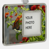Monboogvlinder op de Struik rode vlinder Verzilverd Kader Ornament (Rechts)