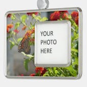 Monboogvlinder op de Struik rode vlinder Verzilverd Kader Ornament (Links)