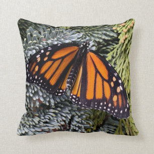 Monboogvlinder op evergreens kussen