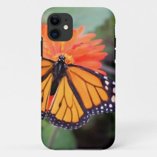 Monboogvlinder op oranje bloem iPhone 11 hoesje