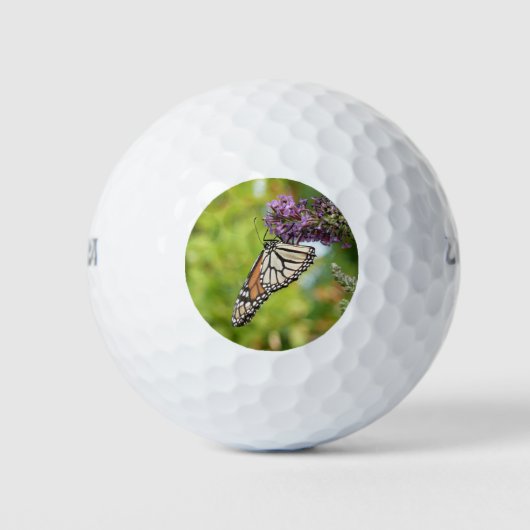 Monboogvlinder op Paarse vlinderStruik Golfballen (Voorkant)