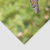 Monboogvlinder op Paarse vlinderStruik Tissuepapier (Detail)