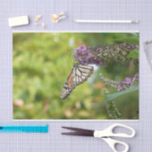 Monboogvlinder op Paarse vlinderStruik Tissuepapier (Craft)