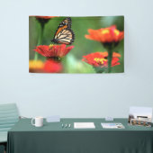 Monboogvlinder Spandoek (Beurs)