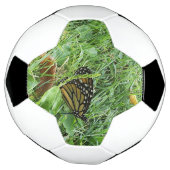 Monboogvlinder Voetbal (Gedraaid)