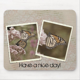 Monboogvlinders Muismat