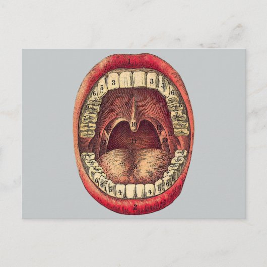  mond briefkaart (Voorkant)