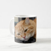 Monday Motivation Mug, Office Fun Cats Koffiemok (Voorkant links)