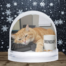 Monday Office Cat, Fun Cats meme Snow Globe Sneeuwbol