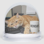 Monday Office Cat, Fun Cats meme Snow Globe Sneeuwbol (Voorkant)