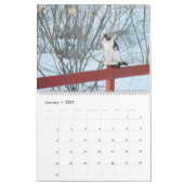 Monde de calendrier de chats (Jan 2027)