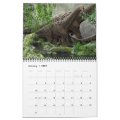 MONDE DU CALENDRIER DE DINOSAUR 2020 (Jan 2027)