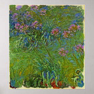 Monet - Agapanthus Bloemen 1917 Poster