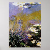 Monet - Agapanthus, fijne kunst, Poster (Voorkant)
