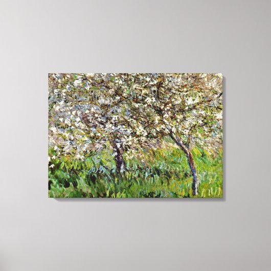 Monet - Apple Trees in Bloom Canvas Afdruk (Voorkant)