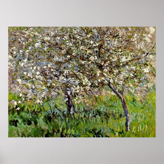 Monet - Apple Trees in Bloom Poster (Voorkant)