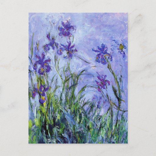 Monet Lila Irises Briefkaart (Voorkant)