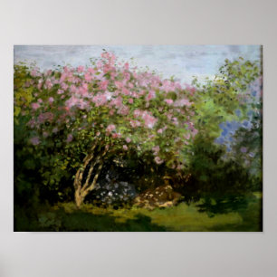 Monet - Lilacs in de zon Poster