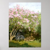 Monet - Lilacs in de zon Poster (Voorkant)