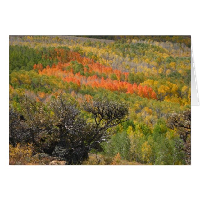 Monet Moment (Voorkant Horizontaal)