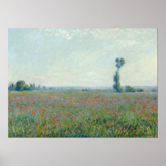 Monet, papaverveld poster