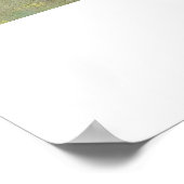 Monet Poppie Fields Poster (Hoek)