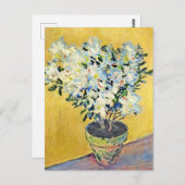 Monet - White Azaleas in a Pot, Briefkaart (Voorkant / Achterkant)
