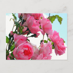 Monet's Rose Garden Briefkaart