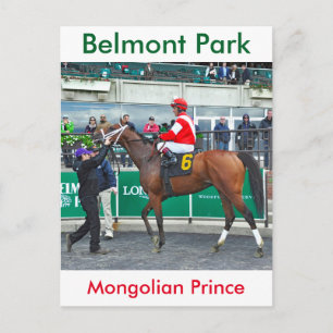 Mongolian Prince Briefkaart