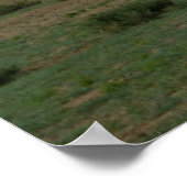 Mongoolse paarden poster (Hoek)