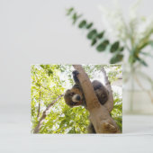 Mongoose lemur briefkaart (Staand voorkant)