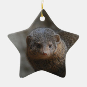 Mongoose Ornament