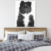 Mongrel Dog, Studio Shot Canvas Afdruk (Insitu (Slaapkamer))